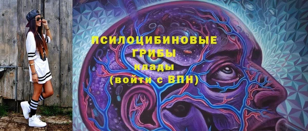 сатива Бугульма