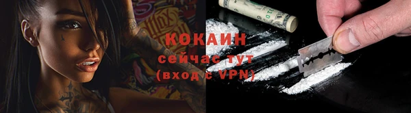 мдпв Верхний Тагил