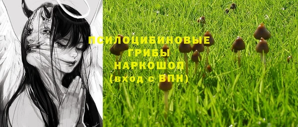 сатива Бугульма